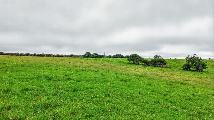 Commercial Property for Sale in Rondevlei Western Cape